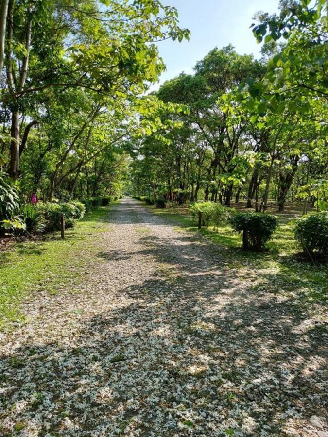 花蓮金澤居民宿樹窩民宿御安居民宿寵物友善 Ji'an Exterior foto